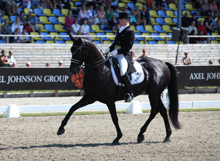 Gazella vinnare i 7-årschampionatet i Falsterbo, se film!