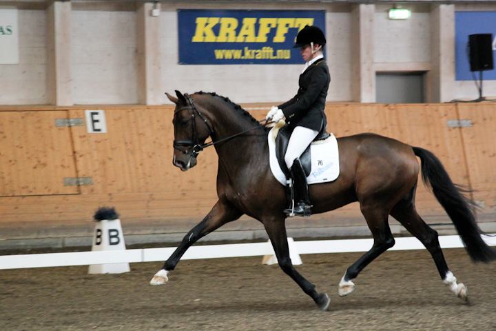 Busarna B på Avelschampionatet