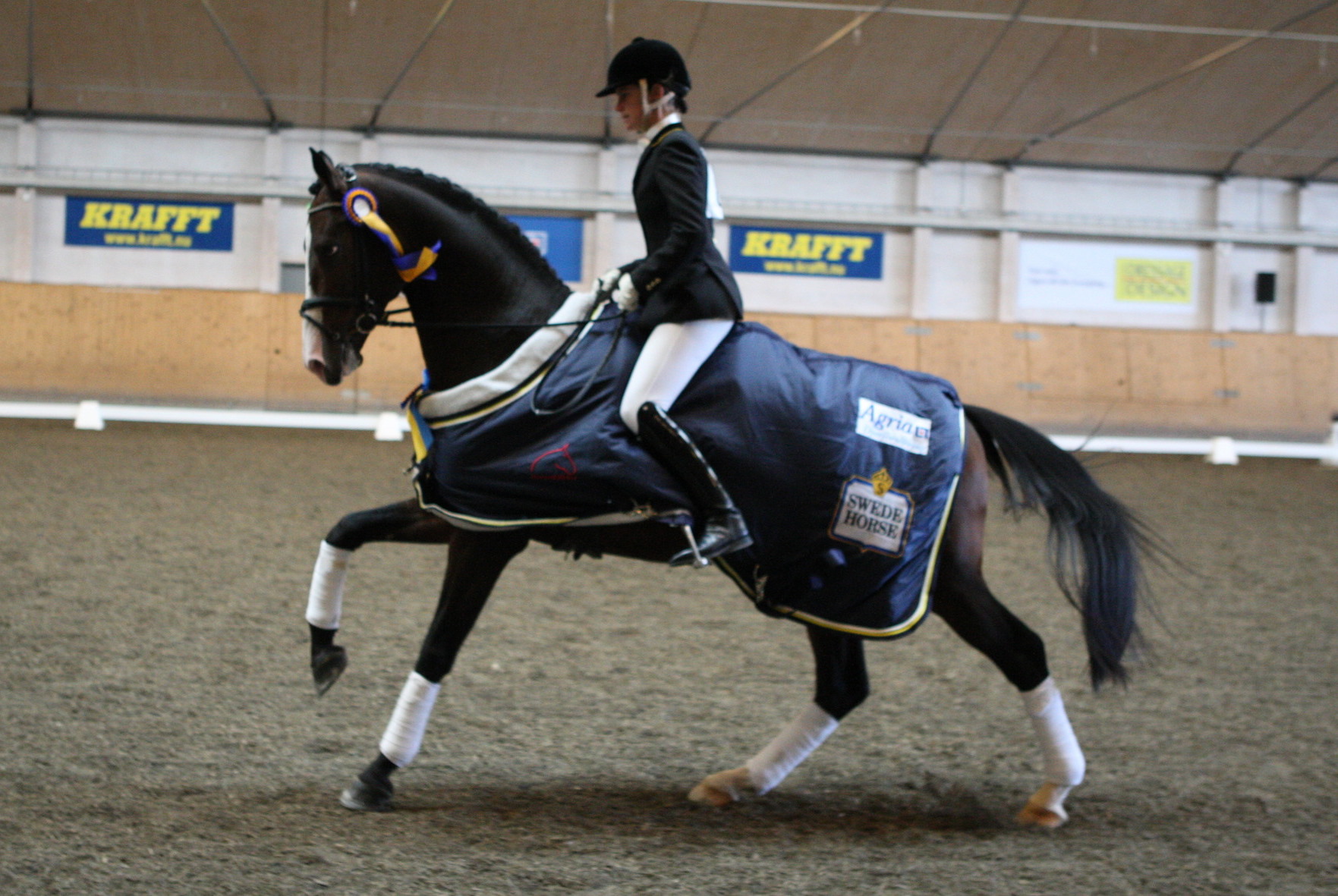 Christo vinner Championatet för 3-åriga hästar!!!