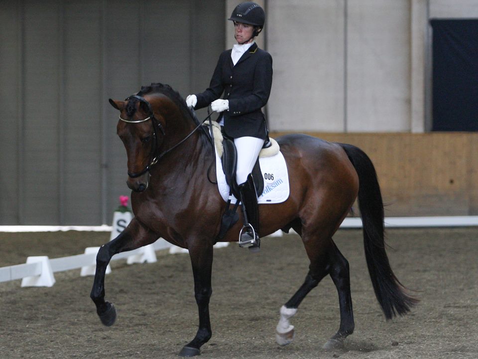 Bra Breedersvecka i Flyinge