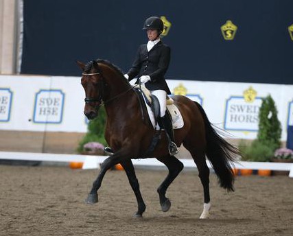 3 finalhästar under Breeders Trophy