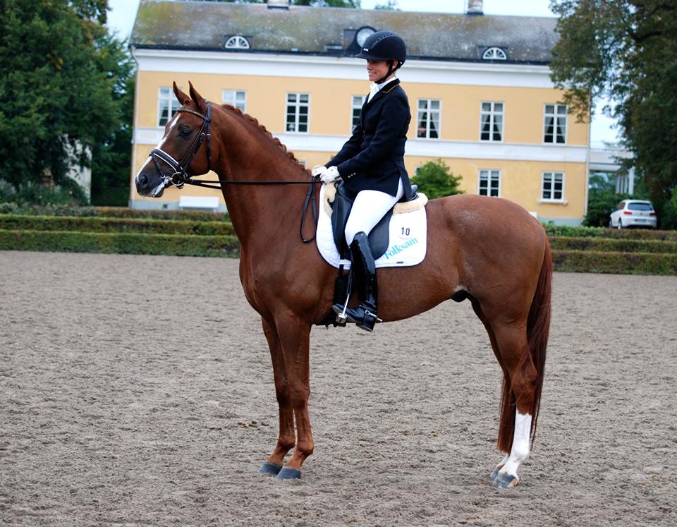 Årsdebut och MB-debut för Rakeback VH