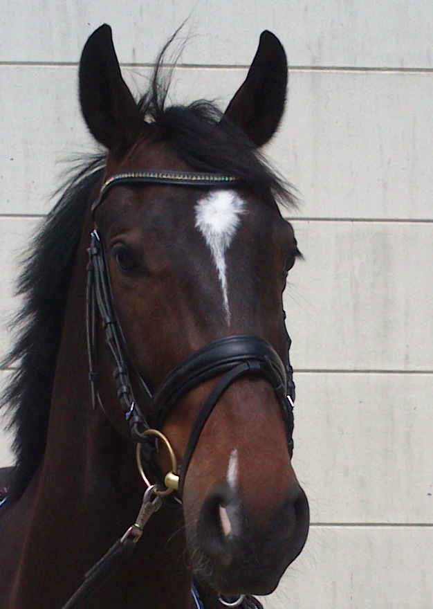 Waquero såld
