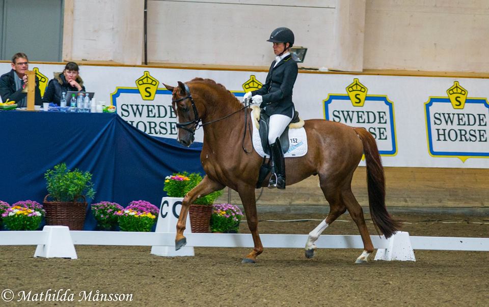 Rakeback VH på Breeders
